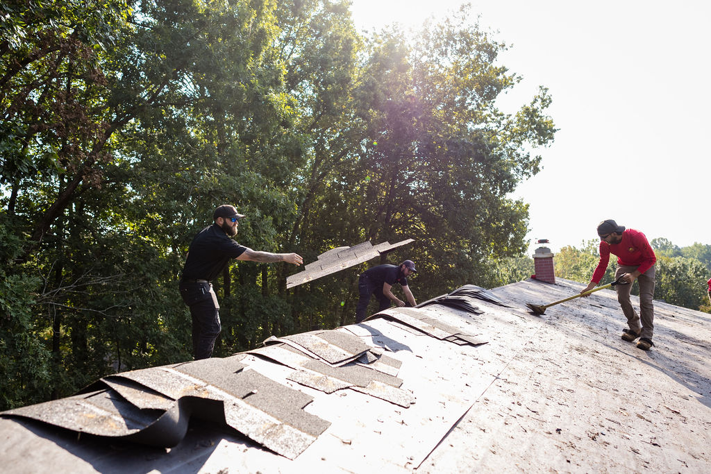 Tree Damage Structural Repair